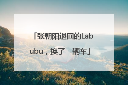 张朝阳退回的Labubu，换了一辆车