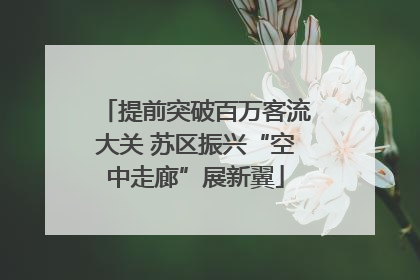 提前突破百万客流大关 苏区振兴“空中走廊”展新翼