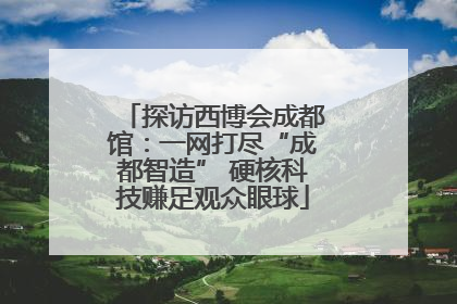 探访西博会成都馆：一网打尽“成都智造” 硬核科技赚足观众眼球