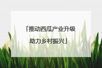 推动西瓜产业升级 助力乡村振兴