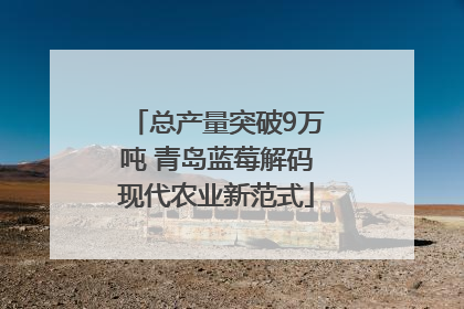 总产量突破9万吨 青岛蓝莓解码现代农业新范式