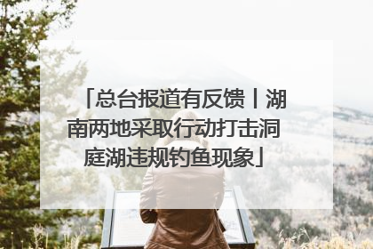 总台报道有反馈丨湖南两地采取行动打击洞庭湖违规钓鱼现象
