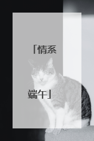 情系端午