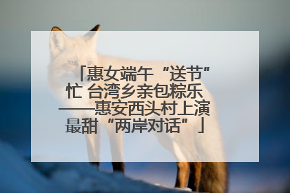 惠女端午“送节”忙 台湾乡亲包粽乐——惠安西头村上演最甜“两岸对话”