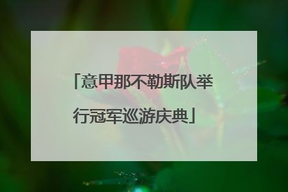 意甲那不勒斯队举行冠军巡游庆典
