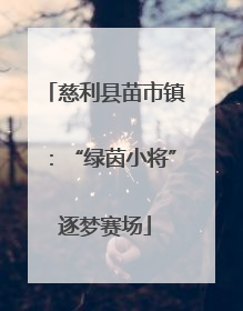 慈利县苗市镇：“绿茵小将”逐梦赛场