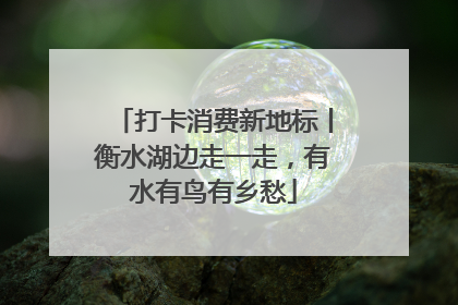 打卡消费新地标丨衡水湖边走一走，有水有鸟有乡愁