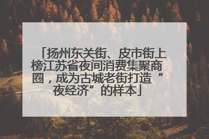扬州东关街、皮市街上榜江苏省夜间消费集聚商圈，成为古城老街打造“夜经济”的样本