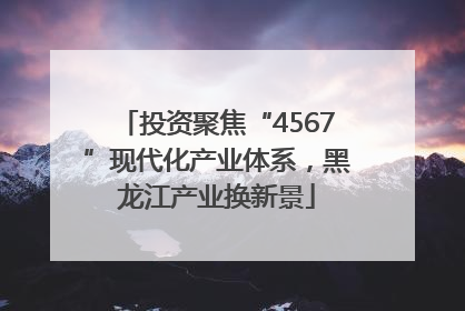 投资聚焦“4567”现代化产业体系，黑龙江产业换新景