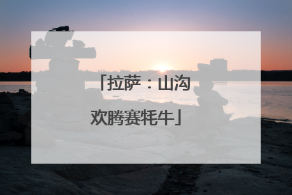 拉萨：山沟欢腾赛牦牛
