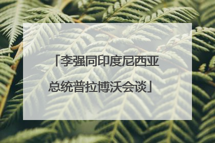 李强同印度尼西亚总统普拉博沃会谈