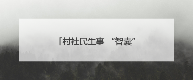 村社民生事 “智囊”出点子 嘉兴市秀洲区推行AI“民情一本账”