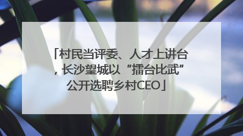 村民当评委、人才上讲台，长沙望城以“擂台比武” 公开选聘乡村CEO