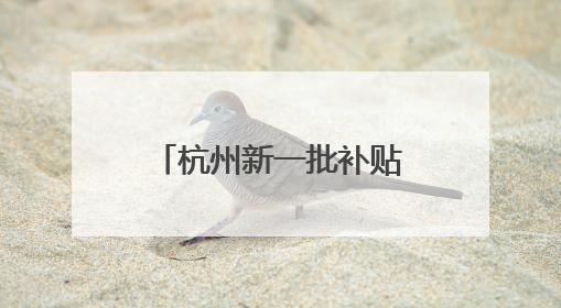 杭州新一批补贴、消费券来了！包括手机、平板等