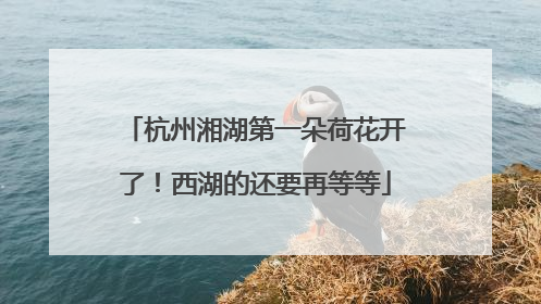杭州湘湖第一朵荷花开了！西湖的还要再等等