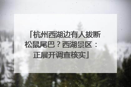 杭州西湖边有人拔断松鼠尾巴？西湖景区：正展开调查核实