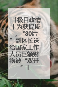 极目政情丨为获提拔，“80后”副区长送给国家工作人员巨额财物被“双开”