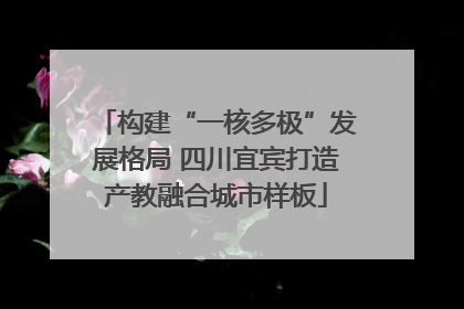构建“一核多极”发展格局 四川宜宾打造产教融合城市样板