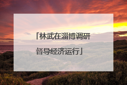 林武在淄博调研督导经济运行