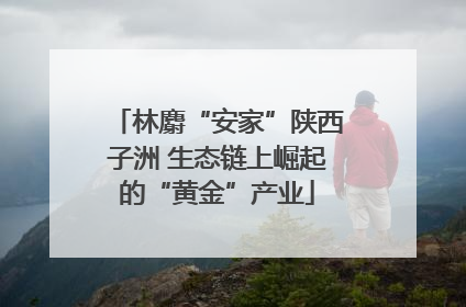 林麝“安家”陕西子洲 生态链上崛起的“黄金”产业