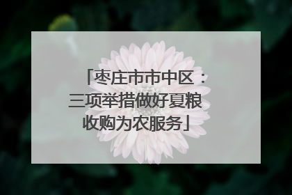 枣庄市市中区：三项举措做好夏粮收购为农服务