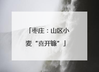 枣庄：山区小麦“喜开镰”