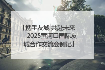 携手友城 共赴未来——2025黄河口国际友城合作交流会侧记
