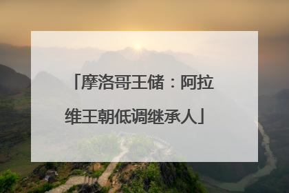 摩洛哥王储：阿拉维王朝低调继承人