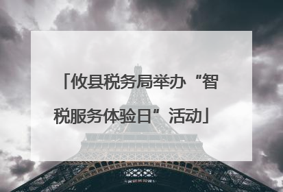 攸县税务局举办“智税服务体验日”活动