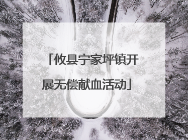 攸县宁家坪镇开展无偿献血活动