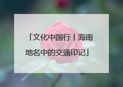文化中国行丨海南地名中的交通印记