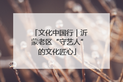 文化中国行｜沂蒙老区“守艺人”的文化匠心