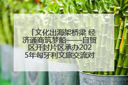 文化出海架桥梁 经济通商筑梦船——自贸区开封片区承办2025年匈牙利文旅交流对接活动专场