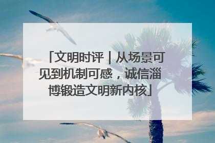 文明时评｜从场景可见到机制可感，诚信淄博锻造文明新内核