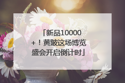 新品10000+！黄陂这场博览盛会开启倒计时