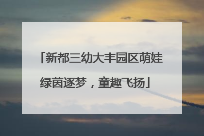 新都三幼大丰园区萌娃绿茵逐梦，童趣飞扬
