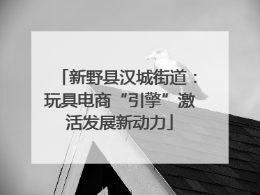 新野县汉城街道：玩具电商“引擎”激活发展新动力