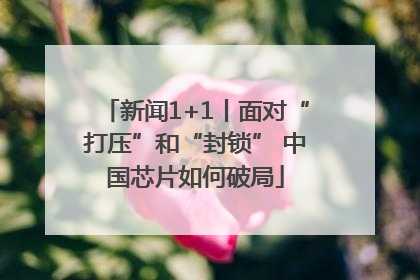 新闻1+1丨面对“打压”和“封锁” 中国芯片如何破局