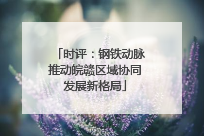时评：钢铁动脉推动皖赣区域协同发展新格局