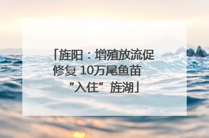 旌阳：增殖放流促修复 10万尾鱼苗“入住”旌湖