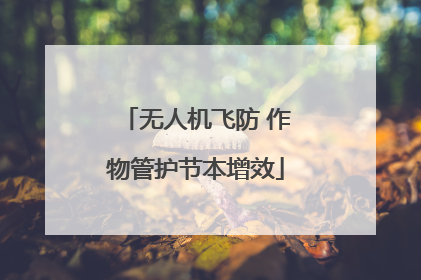 无人机飞防 作物管护节本增效