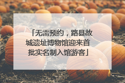 无需预约，路县故城遗址博物馆迎来首批实名制入馆游客
