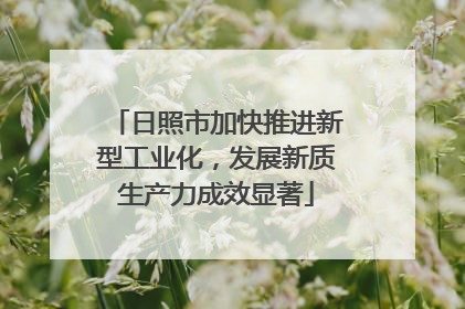 日照市加快推进新型工业化，发展新质生产力成效显著
