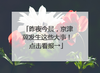 昨夜今晨，京津冀发生这些大事！点击看报→