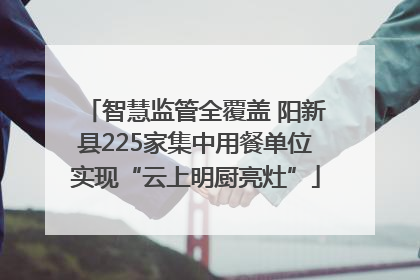 智慧监管全覆盖 阳新县225家集中用餐单位实现“云上明厨亮灶”