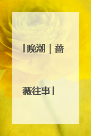 晚潮｜蔷薇往事