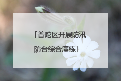 普陀区开展防汛防台综合演练