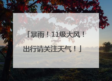 暴雨！11级大风！出行请关注天气！