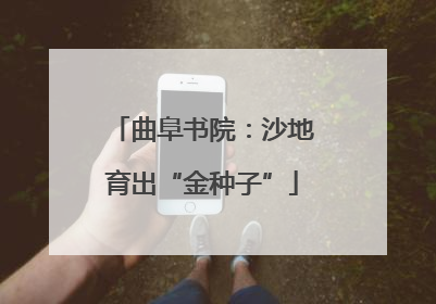 曲阜书院：沙地育出“金种子”