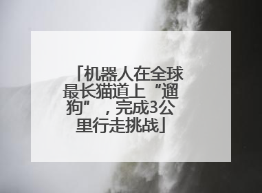 机器人在全球最长猫道上“遛狗”，完成3公里行走挑战